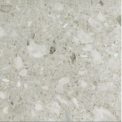 Ceralto Valerio Mini Vloertegel - 59.7x59.7cm - 9.0mm - gerectificeerd - Ceppo di gre