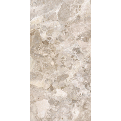 ÉCHANTILLON Terravito Hopuro carreau de sol et de mur - 60x120cm - 10.5mm - rectifié - (Beige)