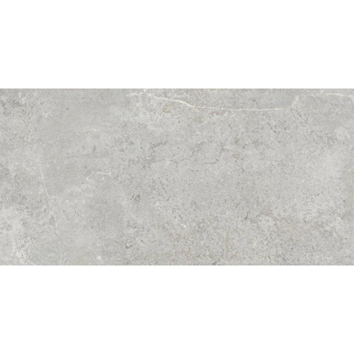 ÉCHANTILLON Terravito Arluna carreau mural et de sol - 60x120cm - 9.5mm - Rectangle - rectifié - effet marbre - Gris Mat
