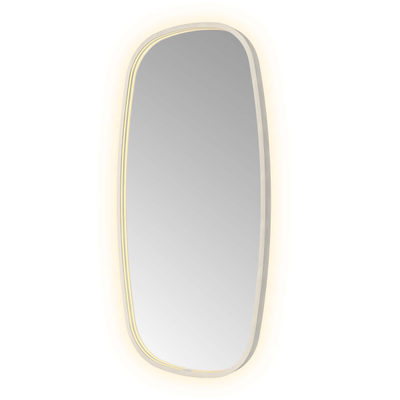 Hotbath &MORE Spiegel in aluminium frame / contour - 50x100cm - inclusief direct & indirect LED - spiegelverwarming - color changing - dimbaar - dottless - met afstandsbediening - geborsteld RVS 316