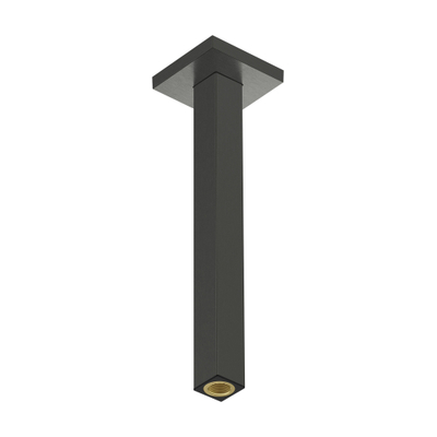 Hansgrohe Raindance alive Plafondaansluiting E - 300mm - geborsteld zwart chroom (antraciet)