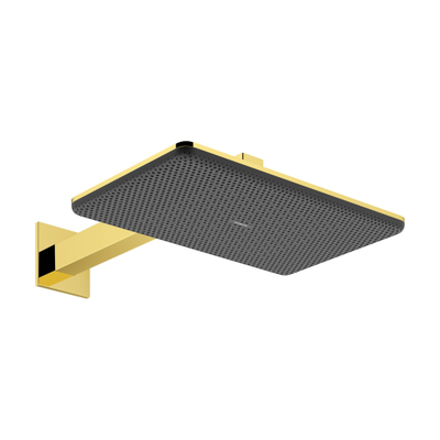 Hansgrohe Raindance alive hoofddouche 210/340 2 jet EcoSmart wand pol.gold