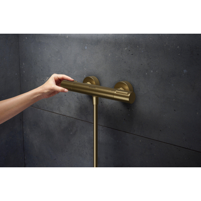 Hansgrohe Ecostat Element opbouw douchethermostaat Brushed Bronze