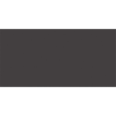 Rako Color One Carrelage mural - 19,8x39,8cm - 7,0mm - Gris anthracite