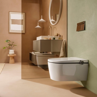 Hansgrohe IFrame Element E Drukplaatvoor - dualflush - brons