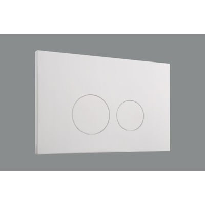 FugaFlow Eccelente Press Plaque de déclenchement DualFlush pour bâti-support Geberit UP320 ABS Rond Blanc brillant