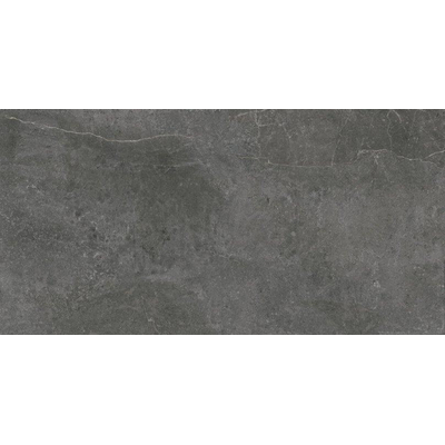 ÉCHANTILLON Terravito Arluna carrelage mural et de sol - 60x120cm - 9.5mm - Rectangulaire - rectifié - Effet marbre - Anthracite Mat