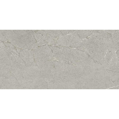 Ceralto Roccato Mineral Carrelage de sol - 60X120 - 6.5mm - mat - argent