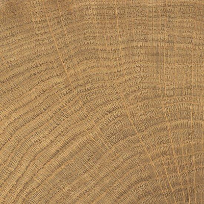 Vtwonen Tegels Woodcirkle Vloertegel - 10x10cm - 9.5mm - Walnutt