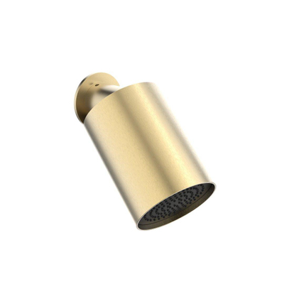 Crosswater Tranquil Hoofddouche - 1 stand - geborsteld messing (goud)