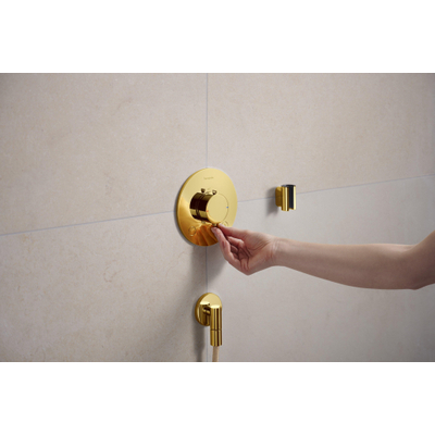 Hansgrohe Ecostat comfort s Inbouw - thermostaat - 2 functies - goud