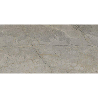 ÉCHANTILLON Terravito Waldoro carreau mural et de sol - 60x120cm - 10.5mm - Rectangle - rectifié - Aspect marbre - Gris poli