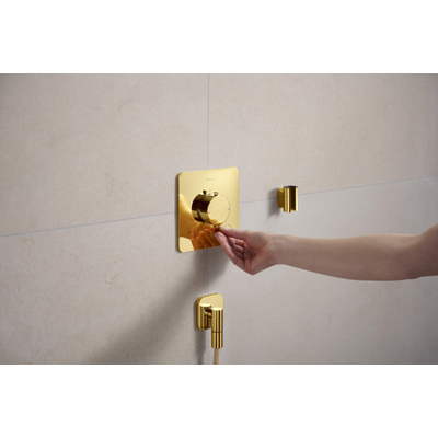 Hansgrohe Porter Fine Handdouchehouder