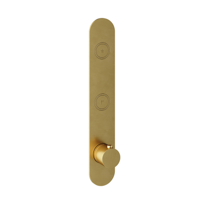 Hotbath Cobber Afbouwdeel inbouwthermostaat - met 2 pushbuttons verticale plaatsing geborsteld messing - PVD - (goud)
