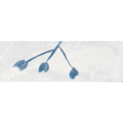 Ceralto Drapé Mural Decor-strip - 5x15cm - 10.0mm - Bianco