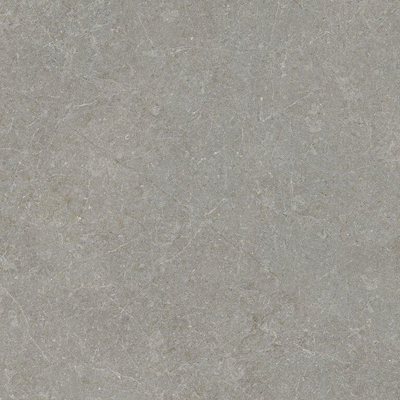 Terravito Elvano Carrelage parquet céramique mural et de sol - 120x120cm - rectifié - greige