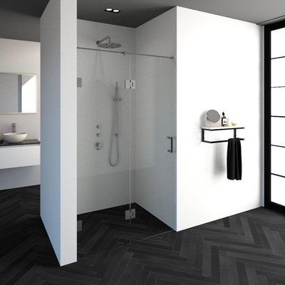 BRAUER Void nisdeur 2-delig helder glas 120x200 omkeerbaar met draaideur 60 aan glas incl. glascoating PVD RVS-kleurig