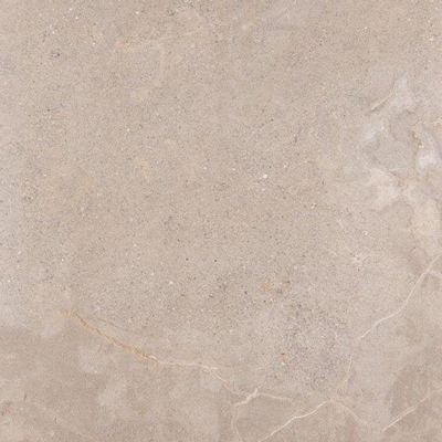 SAMPLE Ceramic-Apolo Stone Age carrelage sol et mural - 60x60cm 10mm rectifié - R10 porcellanato Greige