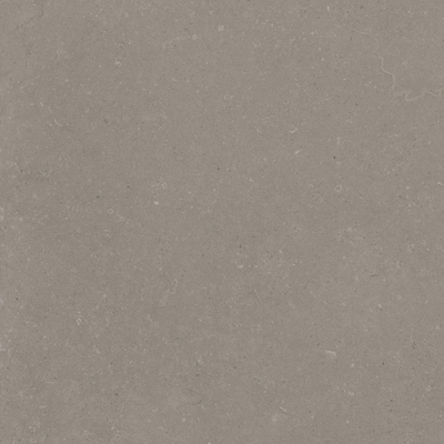 Terravito Selvico Carrelage parquet céramique mural et sol - 60x60cm - 9mm - Greige