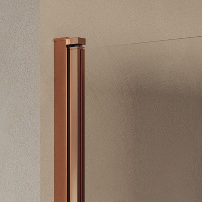 BRAUER Cosmic Porte de niche - 90x200 - pivotante - transparent - verre réversible incl. revêtement en verre - cuivre brossé PVD