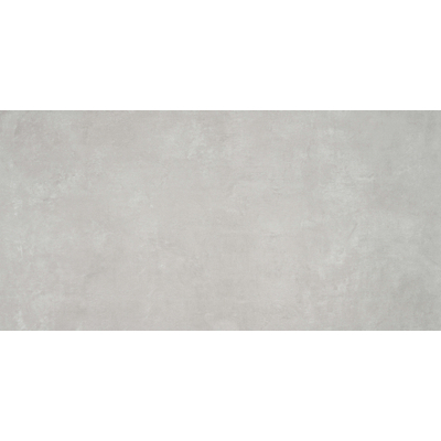 Terravito Belmiro wand- en vloertegel - 59.5x120cm - 10.0mm - Rechthoek - gerectificeerd - Betonlook - mat zilver - Grey