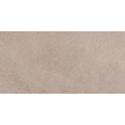 ÉCHANTILLON Ceralto Orsini Studio Carreau de sol - 30x60cm - 8.5mm - Gris