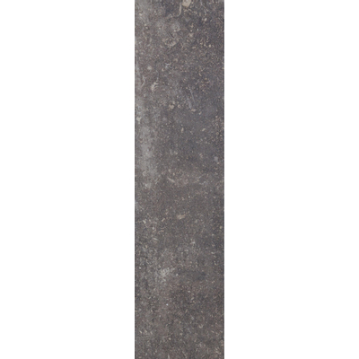 Cir di pietra ardennes carreau de sol et de mur 10x40cm 10mm rectifié r10 porcellanato nero