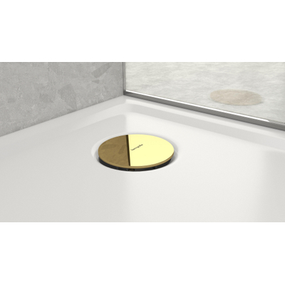 Hansgrohe RainDrain Staro Kleurset - polished gold optic