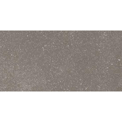 Ceralto Ivarno Core Carrelage de sol - 30X60 - 10mm - mat - gris