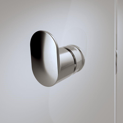 Sealskin Hooked Porte de douche pivotante 90x90cm avec paroi latérale verre de sécurité 6mm Argent brillant
