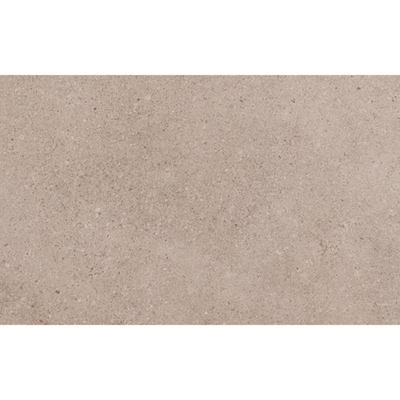 SAMPLE Ceralto Orsini Studio Wandtegel - 25x40cm - 8.5mm - Grey