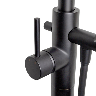 Wiesbaden Caral Mitigeur bain sur pied mat noir