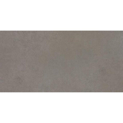 SAMPLE Florim Easy Life Vloertegel - 60x120cm - 9.0mm - gerectificeerd - Grey salt