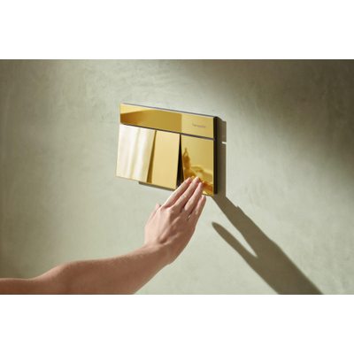 Hansgrohe IFrame Element E Bedieningsplaat spoelsysteem