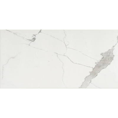 Ceralto Valerio Mini Carrelage de sol - 59.7x119.7cm - 9.0mm - rectifié - Calacatta
