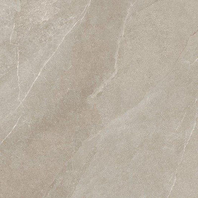 ÉCHANTILLON Ceralto Marea Slate 800X800 Shale Taupe