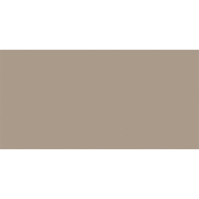 Rako Color One Wandtegel - 19.8x39.8cm - 7.0mm - Beige grey