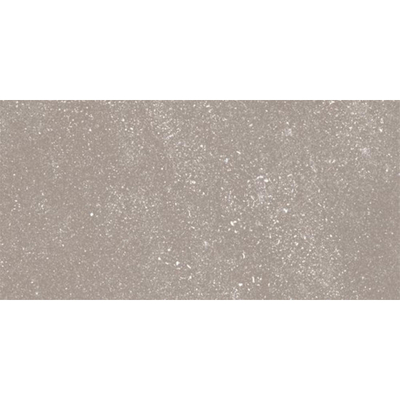 Ceralto Ivarno Core Vloertegel - 30X60 - 10mm - mat - zilver