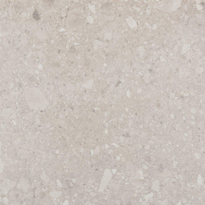 Vtwonen Carrelage composite sol et mur 60x60cm 9mm rectifié R10 porcellanato Gris clair