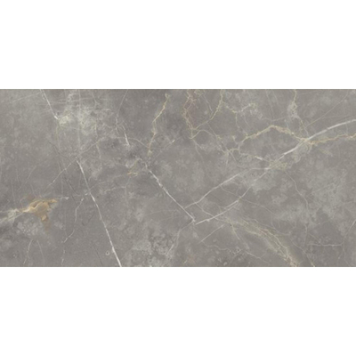 Vtwonen Tegels Classic Vloertegel - 30x60cm - 10.0mm - gerectificeerd - Grey