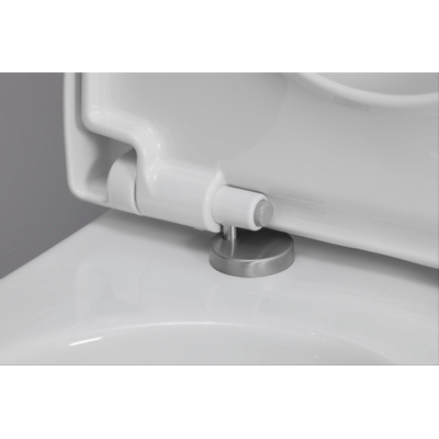 Duravit Universeel WC-zitting - 37.2x48.8x5.1cm - met softclose - met quickrelease Polypropyleen - wit