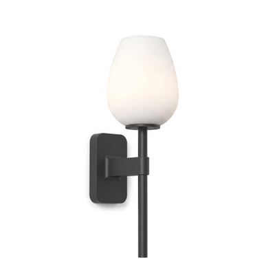 Astro Tacoma Single Wandlamp/Plafondlamp - 230V - IP44 - ovaal - wit glas - mat zwart