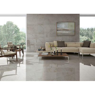 ÉCHANTILLON Terravito Waldoro carreau mural et de sol - 60x120cm - 10.5mm - Rectangle - rectifié - Aspect marbre - Gris poli