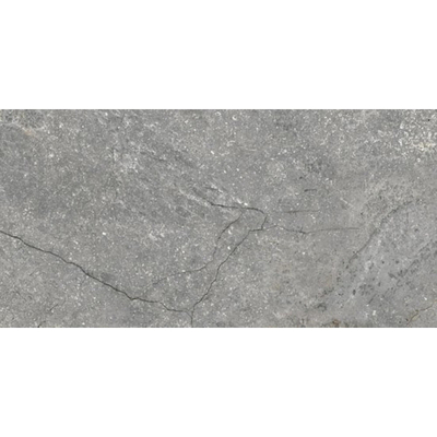 Douglas jones Marbles Carrelage de sol 300X600 Wells Ash 9,5mm Brillant Rectifié