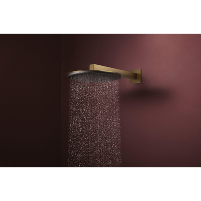 Hansgrohe Raindance alive S - hoofddouche 300 - 2jet - ecosmart wand - geborsteld brons (brons)