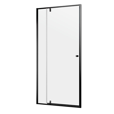 Sealskin Contour porte pivotante pour niche 100 cm, 200 cm de hauteur, noir, verre de sécurité clair 6 mm