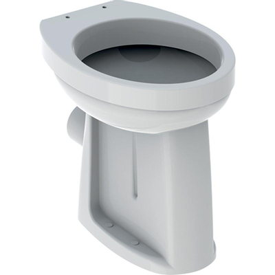 Geberit 300 Comfort WC sur pied +6cm 35.5x47.5cm à fond plat EH Blanc