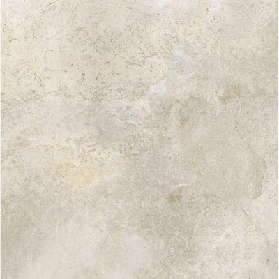 ÉCHANTILLON Ceralto Briano Accent Carrelage sol et mur 100x100cm 6mm rectifié R10 grès cérame Platinum White