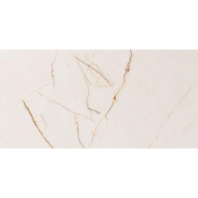 Vtwonen Classic Carrelage de sol et mural 30x60cm 10mm rectifié Caramel