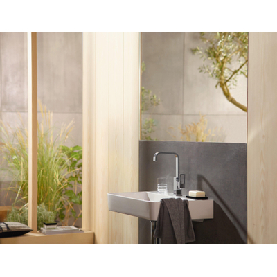Hansgrohe Metropol Wastafelkraan - 230 met waste - hoogglans chroom